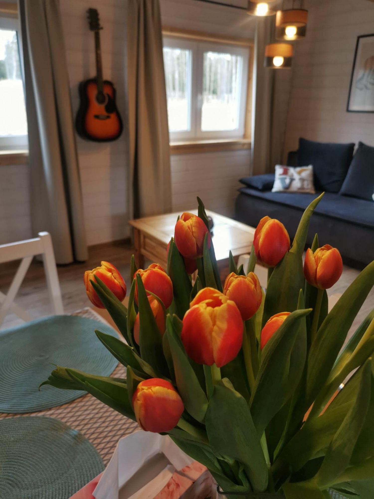 Freedom House Chalet Dolina (Klodzko)
